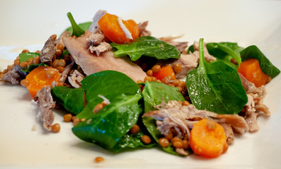 Lamb's Lettuce Salad with Pickled Tuna and Lentils