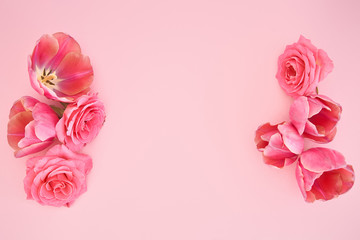 top view of pink roses and tulips buds on pink background with copy space