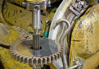 gear in factory
