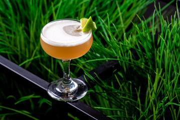 Yellow cocktail with white foam on greenery background