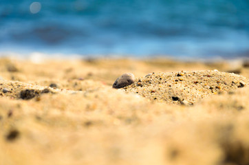 Mały kamień na piaszczystej plaży. Płytka głębia ostrości.