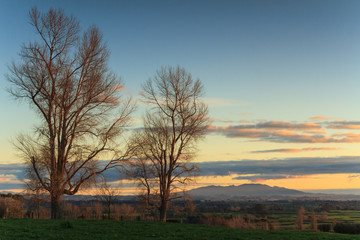 Fototapeta na wymiar Winter landscape in the Waikato Region, New Zealand, at sunset. On the horizon is Maungatautari, or Sanctuary Mountain