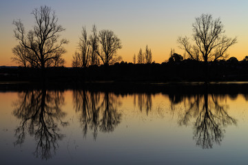 Fototapeta na wymiar Bare winter trees reflected in the calm waters of a lake at sunset