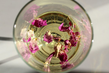 Glass of champagne with rose petals inside on white background, top view