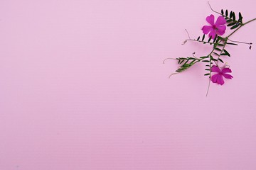 한국 경기도 부천시 부천호수공원 입니다