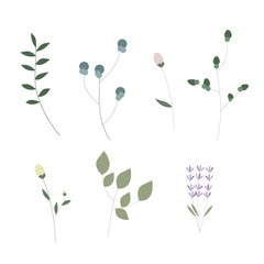 Flat flowers and leaves. Botany objects with leaves. Florist elments