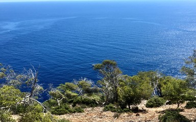 Słoneczne widoki na Majorce © Tomasz