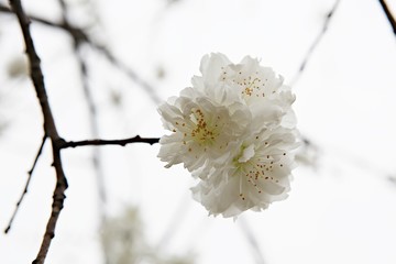 한국 경기도 부천시 부천호수공원 입니다