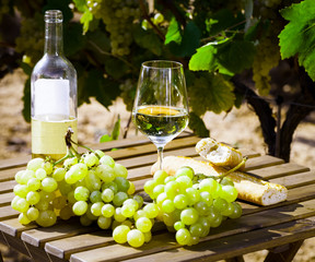Fototapeta na wymiar still life with glass of White wine grapes and bread on table in field