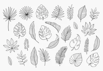 Tuinposter Tropical Leaves in doodle style. Vector hand drawn black line design elements. Exotic summer botanical illustrations. Monstera leaves, palm, banana leaf. © mgdrachal