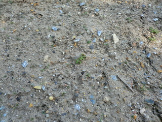 soil on the ground with little stones texture and background