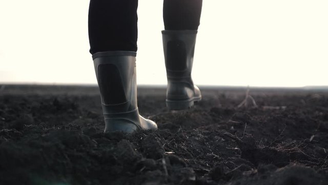 A farmer walks in rubber boots over a plowed field in the rays of the sun at sunset. Cultivation of agricultural products. Organic Products Concept