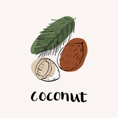 Coconut black and white vector hand draw sketch with colored spots. Hand lettering text. Coconut icon logo design template.