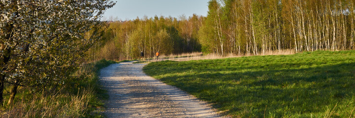 Spacerujący ludzie na polnej drodze w otoczeniu wiosennej przyrody