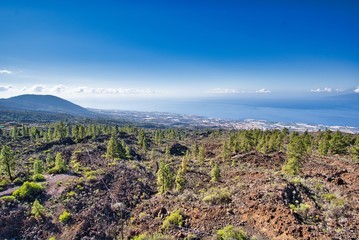 Blick von oben auf eine Stadt, Natur