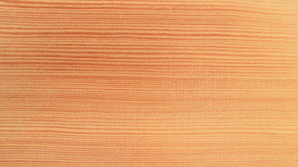 wood texture background