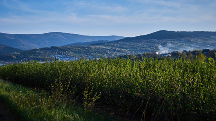 Panorama miasta Myślenice widziana z północnych wzgórz