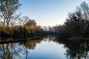Fototapeta na wymiar Little Danube and a forest, Malinovo