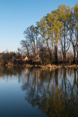 Fototapeta na wymiar Little Danube and a forest, Malinovo