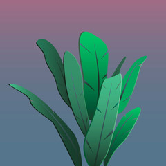 Obraz premium Vector illustration of a tropical plant.Plant on a purple gradient background. Stock illustration of a plant