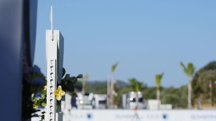 Detail of the horse jump over the obstacle