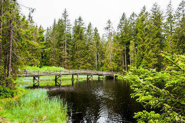 étang de la Gruère, la gruère, Moorsee, See, Weiher, Moor, Hochmoor, Wanderweg, Holzbrücke,...