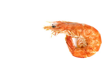 roasted prawn isolated on white background ,grilled shrimp