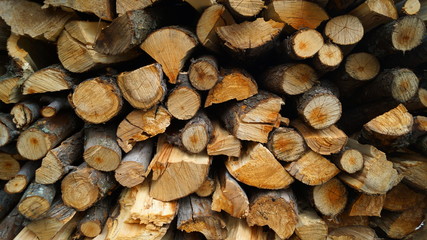 Background of dry chopped firewood logs in a pile