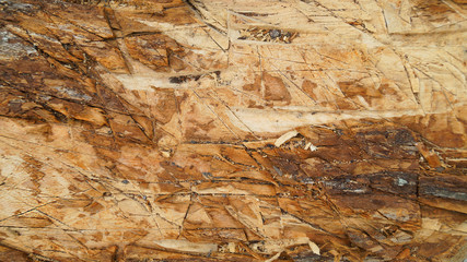Texture of rough axe chopped wood