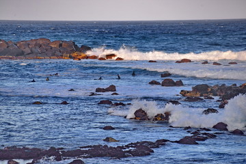 Teneriffa,#0645