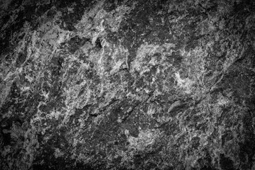 Plakat Old wall texture cement dark black gray background abstract color design with white gradient background.