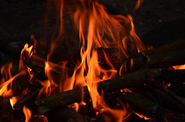 flame of a burning fire on a dark background