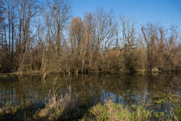 Lake and a forest, Most pri Bratislave
