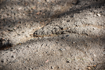 Dirty broken asphalt is close-up, soft focus