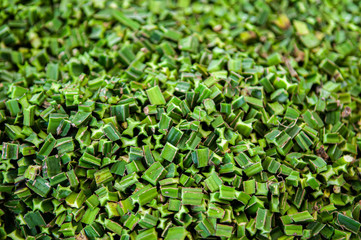 Cissus Quadrangularis or Pet Sung Kat tropical Medicine herb, cut for drying process