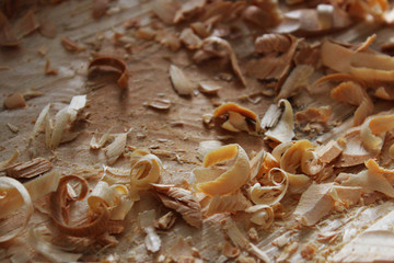 Wood shavings and sawdust on the wooden desk
