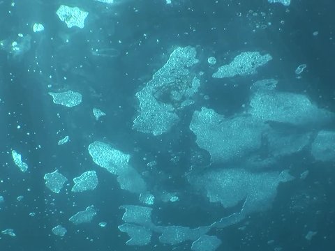 foam on the sea surface underwater  pollution ocean scenery 