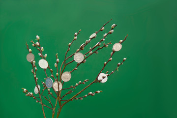 coins on branches with buds on a green background