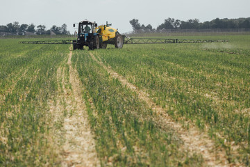 Fototapeta premium chemical treatment of plants to protect against pests using a tractor in the field during the day