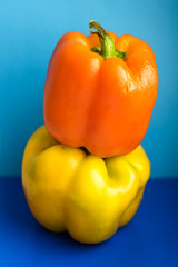 Vertical picture of two sweet yellow and orange pepper paprika on light blue and dark blue background in soft focus. Healthy vegetable. Vegetarian food. Vitamin colorful eating. Fresh vegan food