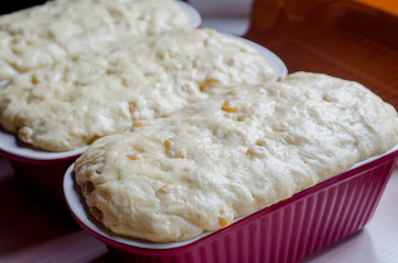 The Confectioner Prepares The Dough, Bread, Cakes. Preparation Easter Cake. Dough fermentation. The dough with raisins and candied fruit
