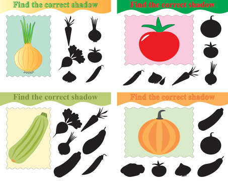 Set of educational game for kids, find the correct shadow of vegetables. Vector illustration.
