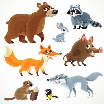 Big collection of wild forest animals fox wolf bear wild boar hare beaver tit raccoon isolated on a white background