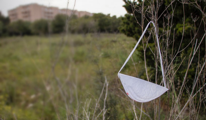 Abandoned used medical mask hanging on the bush. Coronavirus concept.
