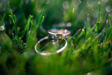 Two Gold wedding rings on the grass. Creative wedding shot.