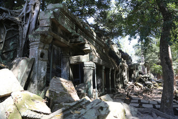 Fototapeta na wymiar Overgrown Temple
