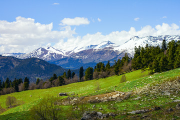 Naklejka premium Landscape Russia