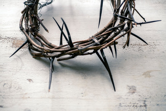 Crown Of Thorns Over A White Background 