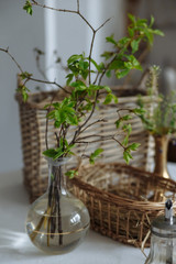 vase with greenery candle and golden candlestick wooden basket on a white tablecloth.