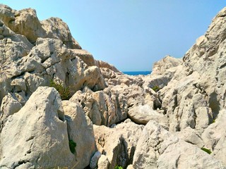 白崎海洋公園の石灰岩